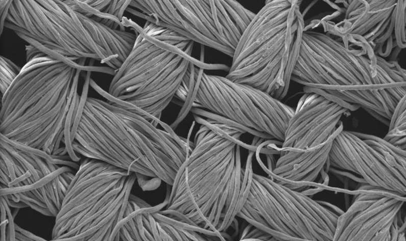 Nano-enhanced textiles